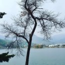 청풍호수펜션 이미지