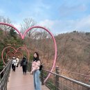 소리숲 식당 | 🌿 늦가을 화담숲 단풍 데이트 산책(궁평식당 후기)