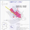 괴연 이미지