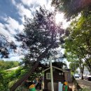 원곡면 게이트볼장 이미지