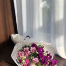 데이즈인블룸