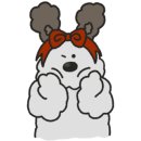 카페 얌 이미지