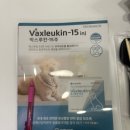 범어동물의료센터 이미지