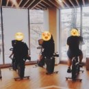 콕스다이어트 이미지