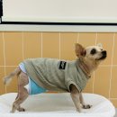 성미유치원(유치원) 이미지