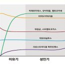 크린팜대학약국 이미지