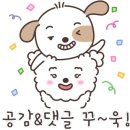츄츄 동물병원 네이버블로그