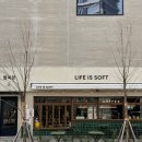 대영오락실 | 강릉 신라모노그램 호텔 후기 송정해변 오션뷰 제대로 즐긴 1박 2일