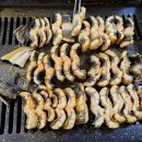 라인댄스(낮) 이미지