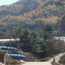 내촌초 연지분교장 이미지