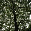 갈천오토캠핑장 이미지