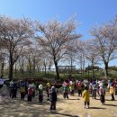 채송화반, 제비꽃반의 4월 1주 숲놀이터 이야기 이미지