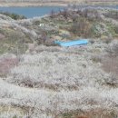 섬진주유소 이미지