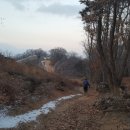 분당-211 이미지