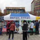 영농조합법인담향