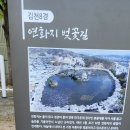 연화지보리밥식당