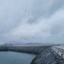 고흥수산물직매장