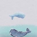 웨일클라우드(Whale Cloud) 이미지