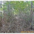 신촌교 밑 이미지