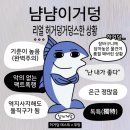 줄줄이김밥 이미지