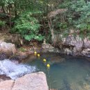 솔향기힐링펜션 이미지