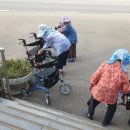 갈현1리 네이버블로그