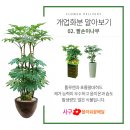 정화고려제과
