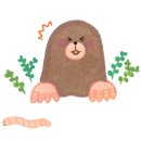 녹색바구니 이미지