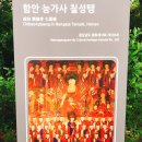 함안 능가사 칠성탱 이미지