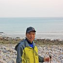 샛개해수욕장 Daum카페
