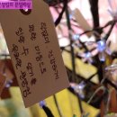 소원나무타로카페 이미지