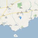 김평진농장 이미지