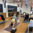 봄요가 - 고양시 일산동구 무궁화로 8-38 | 봄요가