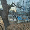 그루상조