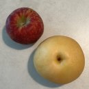 보리수하 | 10/25 토::D+235, 이유식 50일차, 양파 추가, 한끼만 먹인 날, 이유식 시작하고 유산균 바꾼 날!