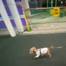 상예식당