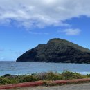 (주)미래손 이미지