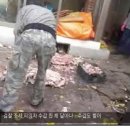 일건농장 오마이뉴스
