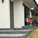 자미자미 스테이 이미지