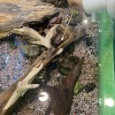 다솜생태체험관 이미지