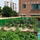 중촌마을어린이도서관(짜장) 이미지