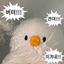 온닷