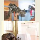 강앤정 동물병원 이미지