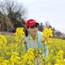 변산초교 Daum카페