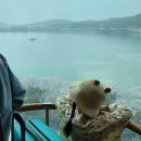 경주여행 3박 4일 / 4일차 단석가찰보리빵, 읍천항, 주상절리, 오류 고아라 해변, 히든씨 바닷가 카페