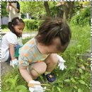 행복한아이들어린이집 이미지