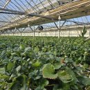 다산2농장 이미지