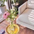 유안의원 이미지