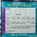 모리온두피탈모 이미지
