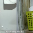 해피월드종이학 이미지